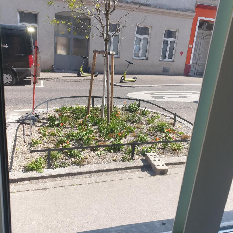 Weisses Appartement Vienna Esterno foto